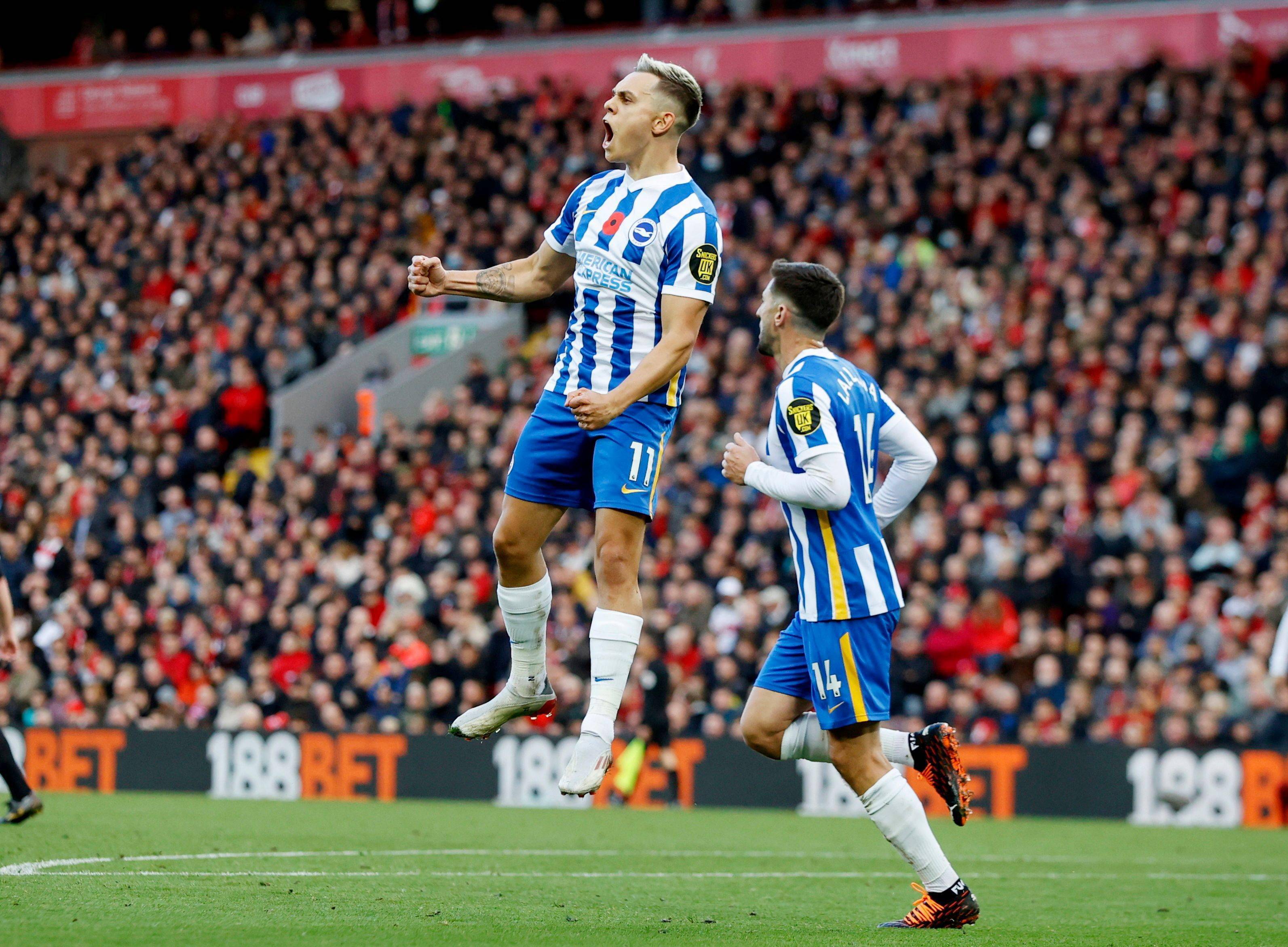 无疑是令球 无疑是令球