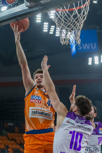 新的活力 新的活力